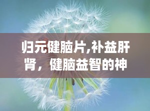 归元健脑片,补益肝肾，健脑益智的神奇疗效