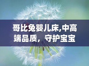 哥比兔婴儿床,中高端品质，守护宝宝健康成长的首选之选”