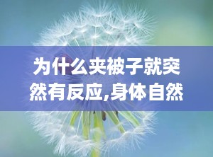 为什么夹被子就突然有反应,身体自然的舒适密码