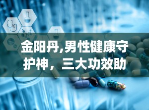 金阳丹,男性健康守护神，三大功效助力活力人生