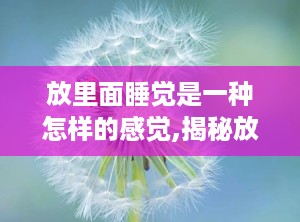 放里面睡觉是一种怎样的感觉,揭秘放里面睡觉的独特体验