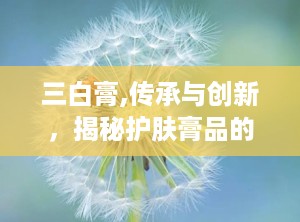 三白膏,传承与创新，揭秘护肤膏品的魅力与未来