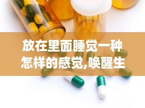 放在里面睡觉一种怎样的感觉,唤醒生命活力的秘密之旅