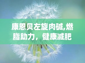 康恩贝左旋肉碱,燃脂助力，健康减肥新选择