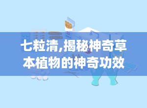 七粒清,揭秘神奇草本植物的神奇功效与养生之道