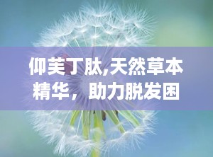 仰芙丁肽,天然草本精华，助力脱发困扰，重拾浓密秀发”