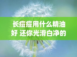 长痘痘用什么精油好 还你光滑白净的肌肤