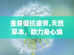 金易健抗疲劳,天然草本，助力身心焕发活力”