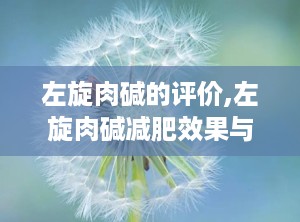 左旋肉碱的评价,左旋肉碱减肥效果与用户真实体验解析