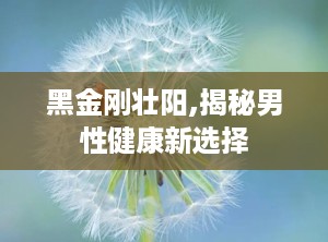 黑金刚壮阳,揭秘男性健康新选择