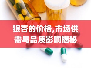 银杏的价格,市场供需与品质影响揭秘
