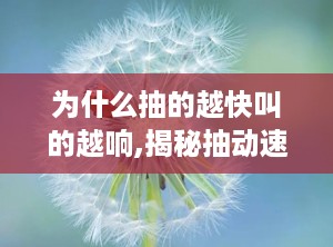 为什么抽的越快叫的越响,揭秘抽动速度与叫声响度的奥秘