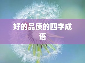 好的品质的四字成语