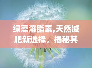 绿藻溶脂素,天然减肥新选择，揭秘其瘦身原理与适用人群