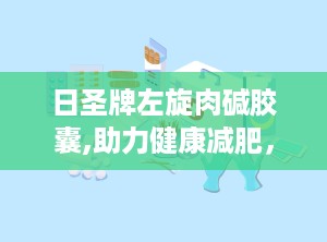 日圣牌左旋肉碱胶囊,助力健康减肥，提升运动效能的天然选择