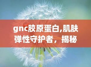 gnc胶原蛋白,肌肤弹性守护者，揭秘其美容养颜的秘密