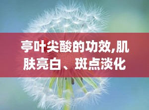 亭叶尖酸的功效,肌肤亮白、斑点淡化，焕发青春光彩的秘密武器”