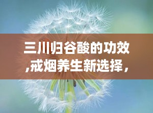 三川归谷酸的功效,戒烟养生新选择，多重功效助力健康生活”