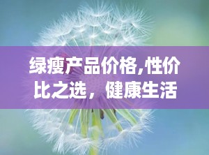 绿瘦产品价格,性价比之选，健康生活新伙伴”