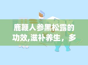 鹿鞭人参黑松露的功效,滋补养生，多重功效守护健康”