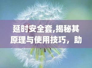 延时安全套,揭秘其原理与使用技巧，助你享受更持久性生活