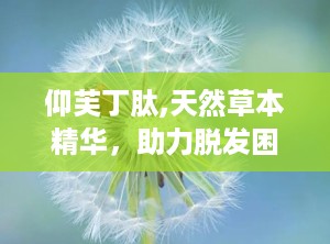 仰芙丁肽,天然草本精华，助力脱发困扰，重拾浓密秀发”