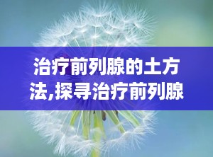 治疗前列腺的土方法,探寻治疗前列腺疾病的民间偏方