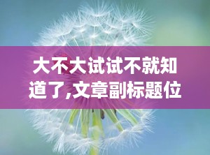 大不大试试不就知道了,文章副标题位于主标题下方，用于补充说明或细化主标题的内容。格式上，副标题通常紧接主标题，使用破折号与主标题隔开，字体与主标题有所区别。副标题应简洁明了，有助于读者快速了解文章的核心信息或特定角度。