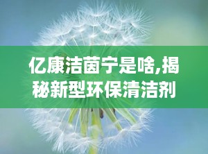 亿康洁茵宁是啥,揭秘新型环保清洁剂的神奇功效