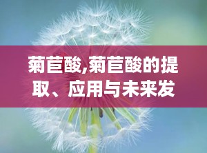 菊苣酸,菊苣酸的提取、应用与未来发展趋势