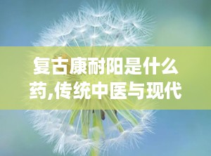 复古康耐阳是什么药,传统中医与现代科技的男性健康守护者