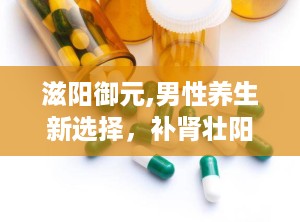 滋阳御元,男性养生新选择，补肾壮阳，提升生活品质