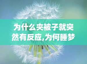 为什么夹被子就突然有反应,为何睡梦中突然有感觉？