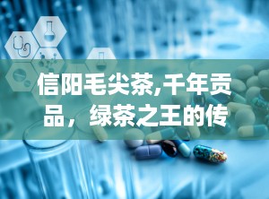 信阳毛尖茶,千年贡品，绿茶之王的传奇历程