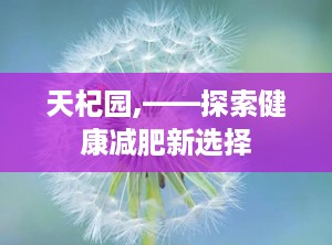 天杞园,——探索健康减肥新选择