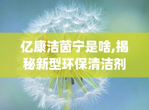 亿康洁茵宁是啥,揭秘新型环保清洁剂的神奇功效