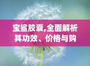 宝鲨胶囊,全面解析其功效、价格与购买指南