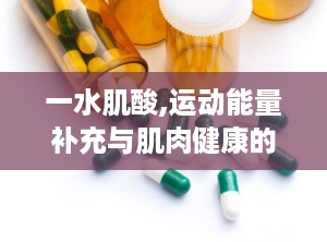 一水肌酸,运动能量补充与肌肉健康的关键