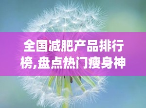 全国减肥产品排行榜,盘点热门瘦身神器