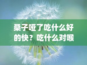 桑子哑了吃什么好的快？吃什么对喉咙有好处