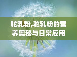 驼乳粉,驼乳粉的营养奥秘与日常应用