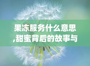 果冻服务什么意思,甜蜜背后的故事与注意事项
