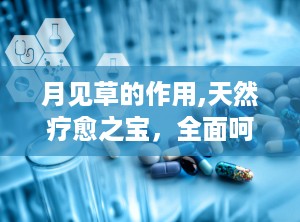 月见草的作用,天然疗愈之宝，全面呵护健康与美丽