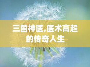 三国神医,医术高超的传奇人生