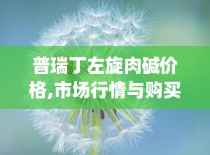 普瑞丁左旋肉碱价格,市场行情与购买指南”