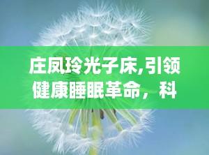 庄凤玲光子床,引领健康睡眠革命，科技与传统的完美融合”