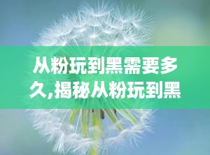 从粉玩到黑需要多久,揭秘从粉玩到黑的心理转变历程