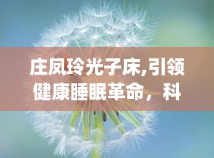 庄凤玲光子床,引领健康睡眠革命，科技与传统的完美融合”