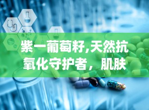 紫一葡萄籽,天然抗氧化守护者，肌肤与健康的双重守护神”