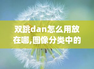 双跳dan怎么用放在哪,图像分类中的高效注意力网络应用策略